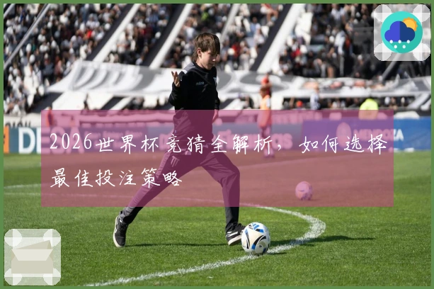 2026世界杯竞猜全解析，如何选择最佳投注策略
