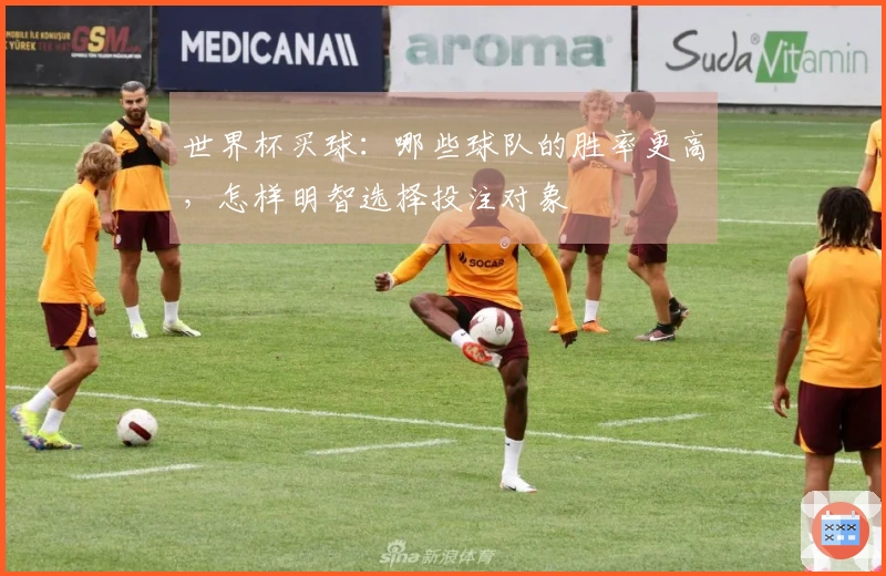 世界杯买球：哪些球队的胜率更高，怎样明智选择投注对象
