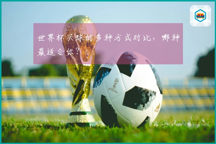 世界杯买球的多种方式对比，哪种最适合你？