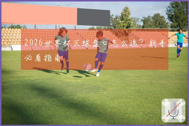 2026世界杯买球盘口怎么选？新手必看指南