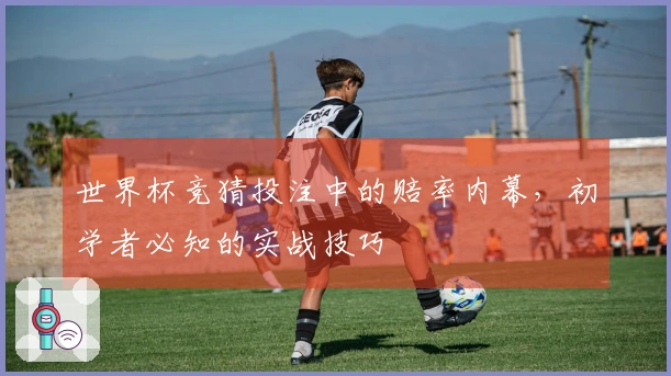 世界杯竞猜投注中的赔率内幕，初学者必知的实战技巧