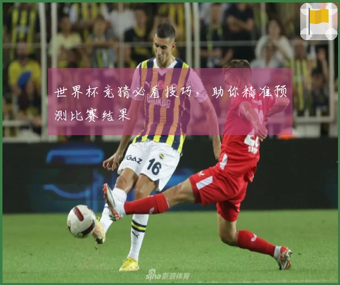 世界杯竞猜必看技巧，助你精准预测比赛结果