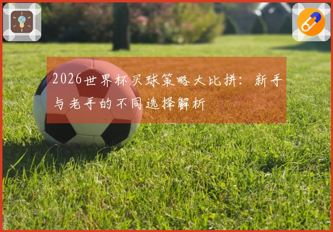 2026世界杯买球策略大比拼：新手与老手的不同选择解析