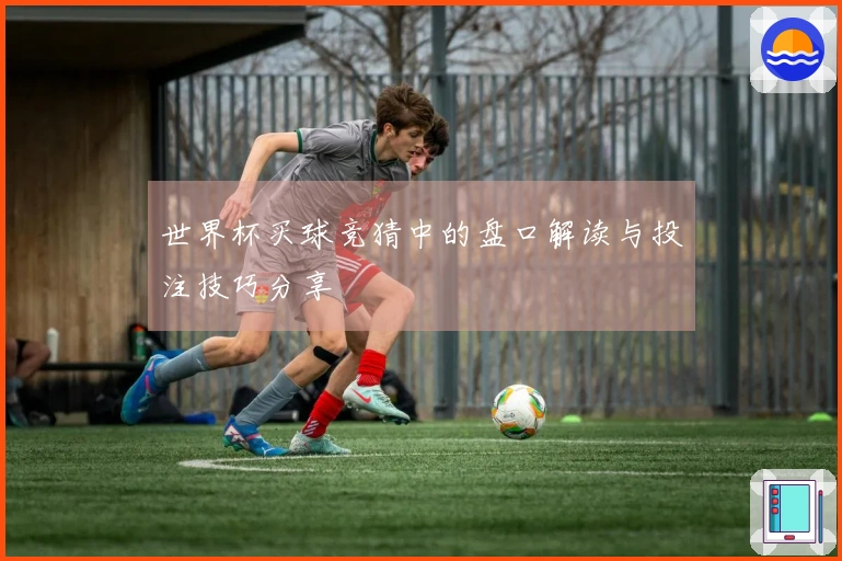 世界杯买球竞猜中的盘口解读与投注技巧分享