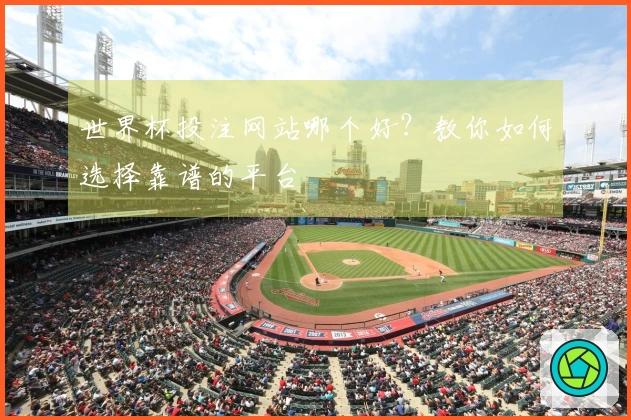 世界杯投注网站哪个好？教你如何选择靠谱的平台