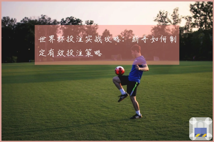 世界杯投注实战攻略：新手如何制定有效投注策略