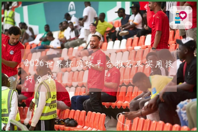 2026世界杯买球平台推荐及实用技巧分享