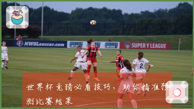 世界杯竞猜必看技巧，助你精准预测比赛结果