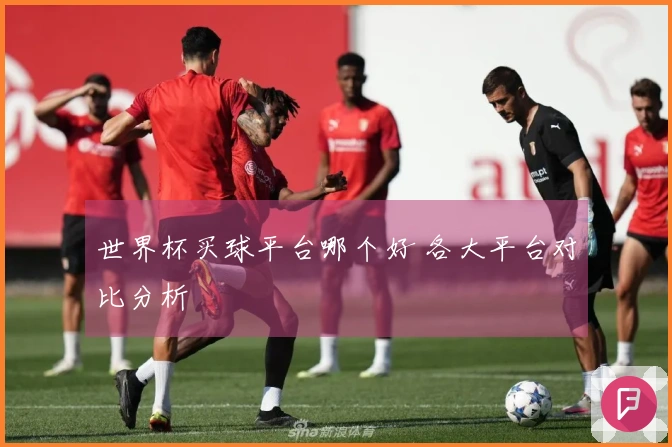 世界杯买球平台哪个好 各大平台对比分析