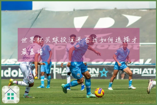 世界杯买球投注平台该如何选择才最靠谱