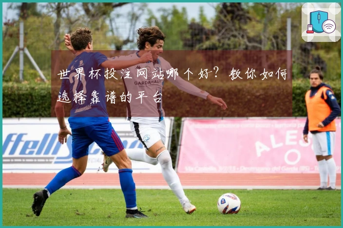 世界杯投注网站哪个好？教你如何选择靠谱的平台