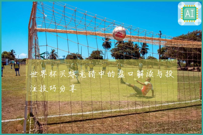 世界杯买球竞猜中的盘口解读与投注技巧分享