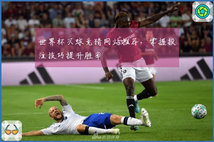 世界杯买球竞猜网站推荐，掌握投注技巧提升胜率