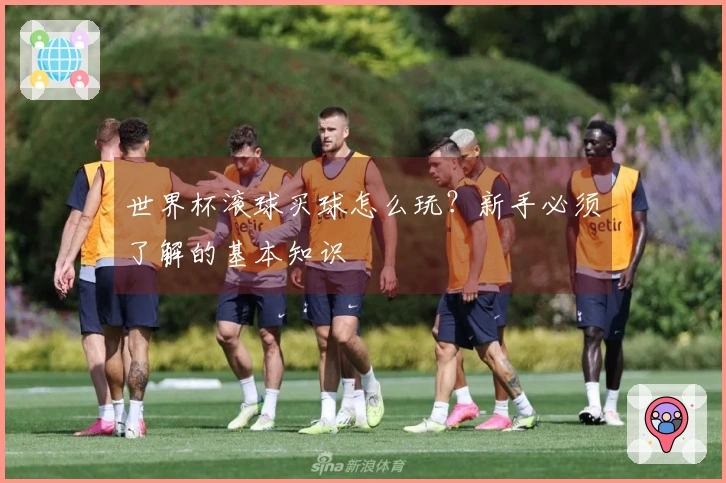 世界杯滚球买球怎么玩？新手必须了解的基本知识