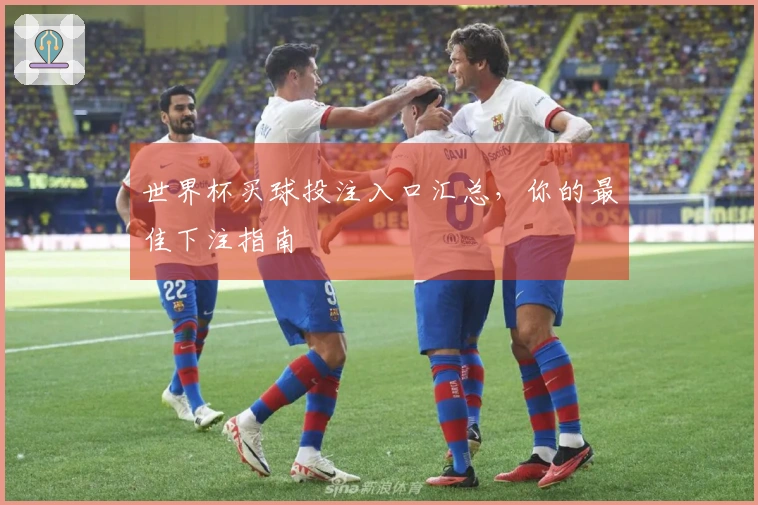 世界杯买球投注入口汇总，你的最佳下注指南