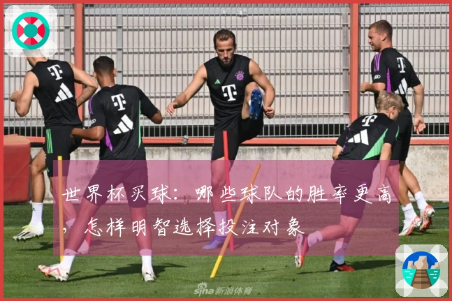 世界杯买球：哪些球队的胜率更高，怎样明智选择投注对象