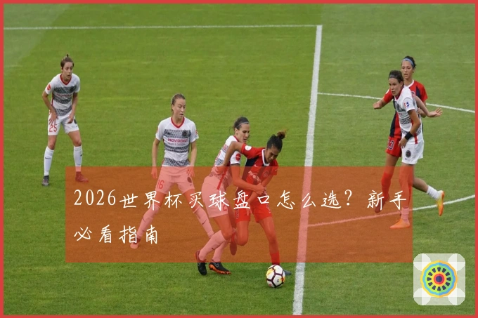 2026世界杯买球盘口怎么选？新手必看指南