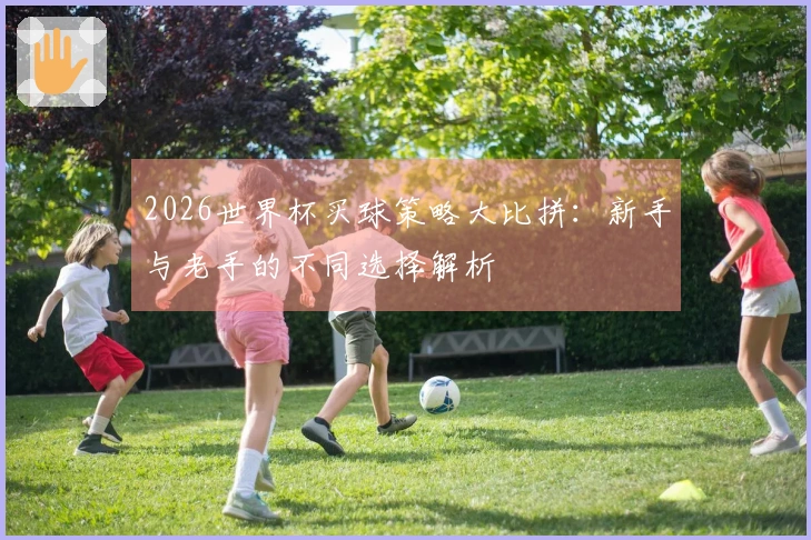 2026世界杯买球策略大比拼：新手与老手的不同选择解析